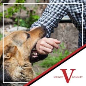 Dog Bite Injury Lawyer Carmel