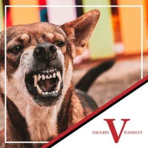 Carmel Dog Bite Injury Lawyer