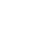 Brain