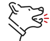 prcatice dog icon