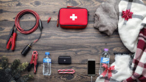 a high resolution organized knolling flat lay photograph on Safer Holiday Road Trip